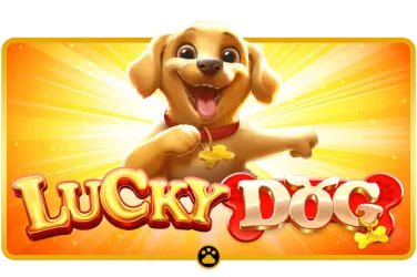 mdl97 slot APP Slots Live Casino ကစားနေသောမြင်ကွင်း